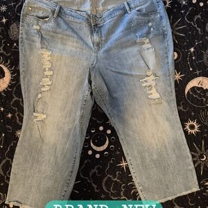 BRAND NEW TORRID Women's Distressed Blue Jeans